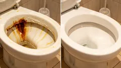 Kalk oder Rost im WC? So erkennst du den Unterschied und reinigst richtig