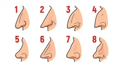 Was die Form Ihrer Nase über Ihre Persönlichkeit verrät: ein kurzer Persönlichkeitstest