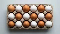 Braune oder weisse Eier: warum die Farbe nichts über Qualität und Nährwerte sagt